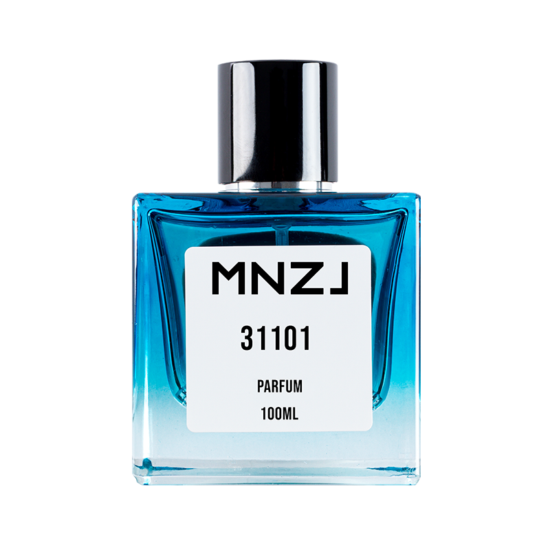 31101, Inspired by Yves Saint Laurent: Y